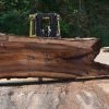 Goby Walnut Elm Slab 080315-08