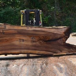 Goby Walnut Elm Slab 080315-08