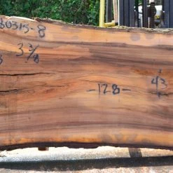 Goby Walnut Elm Slab 080315-08