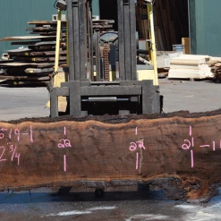 Goby Walnut Products 080519-01 Oregon Black Walnut