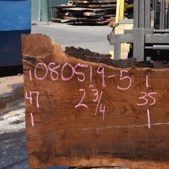 Goby Walnut Products 080519-05 Oregon Black Walnut Green Slabs