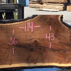 Goby Walnut Products Green Slabs 080519-09 Oregon Black Walnut