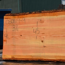 Goby Walnut Products 080619-09 Oregon Fir Slab