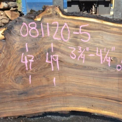 Goby Walnut Oregon Black Walnut Slab 081120-05