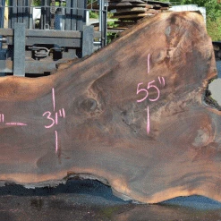 Goby Walnut Products Green Slabs Oregon Black Walnut 081221-01