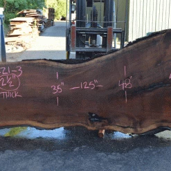 Goby Walnut Products Green Slabs Oregon Black Walnut 081221-03