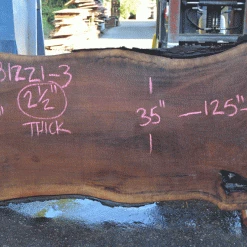 Goby Walnut Products Green Slabs Oregon Black Walnut 081221-03