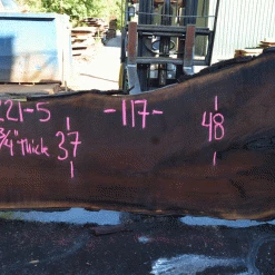 Goby Walnut Products Oregon Black Walnut 081221-05