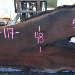 Goby Walnut Products Oregon Black Walnut 081221-05