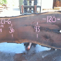 Goby Walnut Products Green Slabs Oregon Black Walnut 081221-06