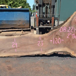 Goby Walnut Products Oregon Black Walnut 081221-09