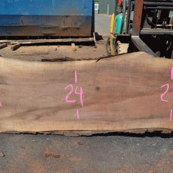 Goby Walnut Products Oregon Black Walnut 081221-09