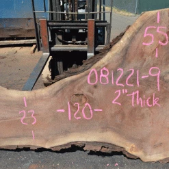 Goby Walnut Products Oregon Black Walnut 081221-09