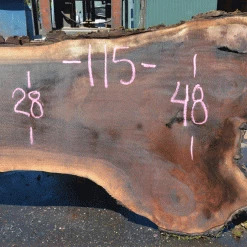 Goby Walnut Products Green Slabs Oregon Black Walnut 081221-10
