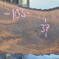 Goby Walnut Oregon Black Walnut Slab 081320-01 Green Slabs