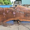 Goby Walnut Green Slabs Oregon Black Walnut Slab 081320-03