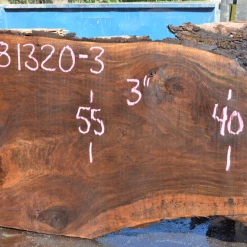 Goby Walnut Green Slabs Oregon Black Walnut Slab 081320-03