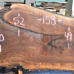 Goby Walnut Green Slabs Oregon Black Walnut Slab 081320-03