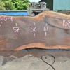 Goby Walnut Oregon Black Walnut Slab 081320-04 Green Slabs