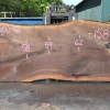Goby Walnut Oregon Black Walnut Slab 081320-06