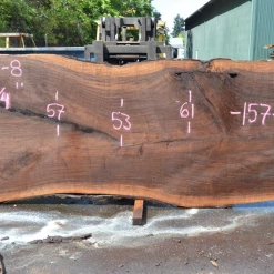 Goby Walnut Oregon Black Walnut Slab 081320-08 Green Slabs