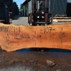 Goby Walnut Products Green Slabs Sycamore Slab 081621-01