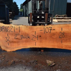 Goby Walnut Products Green Slabs Sycamore Slab 081621-01