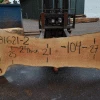 Goby Walnut Products Sycamore Slab 081621-02