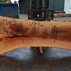 Goby Walnut Products Green Slabs Sycamore Slab 081621-03