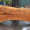 Goby Walnut Products Sycamore Slab 081621-10