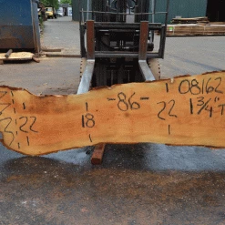 Goby Walnut Products Sycamore Slab 081621-12