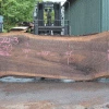 Goby Walnut Products Green Slabs Oregon Black Walnut Slab 082021-03