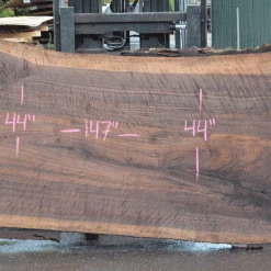 Goby Walnut Products Green Slabs Oregon Black Walnut Slab 082021-03