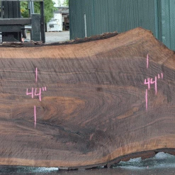 Goby Walnut Products Green Slabs Oregon Black Walnut Slab 082021-03