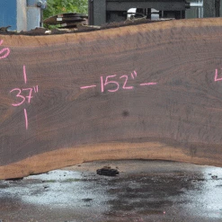 Goby Walnut Products Oregon Black Walnut Slab 082021-06 Green Slabs