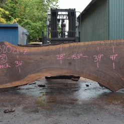 Goby Walnut Products Green Slabs Oregon Black Walnut Slab 082021-07