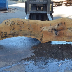 Goby Walnut Products Sycamore Slab 090120-03 Green Slabs