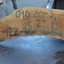 Goby Walnut Products Sycamore Slab 090120-03 Green Slabs