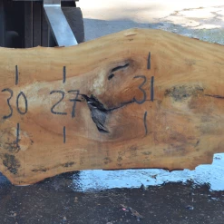 Goby Walnut Products Sycamore Slab 090120-03 Green Slabs