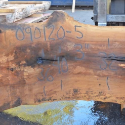 Goby Walnut Products Green Slabs Sycamore Slab 090120-05