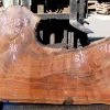 Goby Walnut Green Slabs Oregon Black Walnut Slab 090813-04