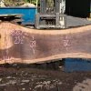Goby Walnut Products Oregon Black Walnut Slab 090820-02 Green Slabs