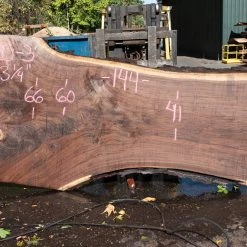Goby Walnut Products Oregon Black Walnut Slab 090820-03