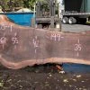 Goby Walnut Products Oregon Black Walnut Slab 090820-04 Green Slabs