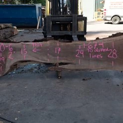 Goby Walnut Products Oregon Black Walnut Slab 090820-06