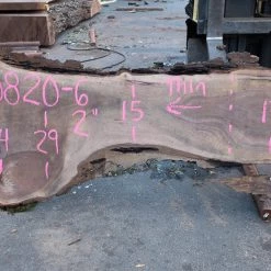 Goby Walnut Products Oregon Black Walnut Slab 090820-06