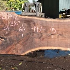 Goby Walnut Products Green Slabs Oregon Black Walnut Slab 090820-12