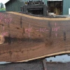 Goby Walnut Products Oregon Black Walnut Slab 091921-02