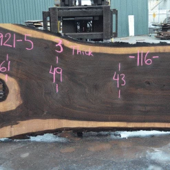 Goby Walnut Products Green Slabs Oregon Black Walnut Slab 091921-05