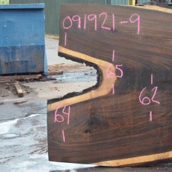 Goby Walnut Products Oregon Black Walnut Slab 091921-09 Green Slabs